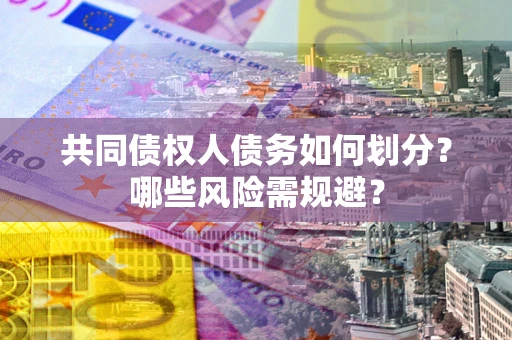 武汉共同债权人债务如何划分?哪些风险需规避? 武汉共同债权人债务如何划分?哪些风险需规避?