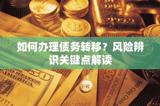 武汉如何办理债务转移?风险辨识关键点解读 武汉如何办理债务转移?风险辨识关键点解读